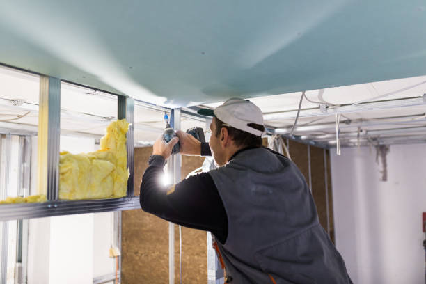 Best Attic Insulation Installation  in Archie, MO