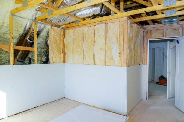 Best Professional Insulation Contractor  in Archie, MO