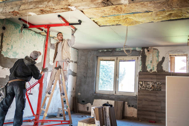 Best Residential Insulation Services  in Archie, MO