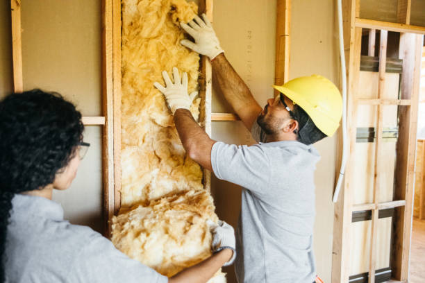 Insulation Inspection Services in Archie, MO