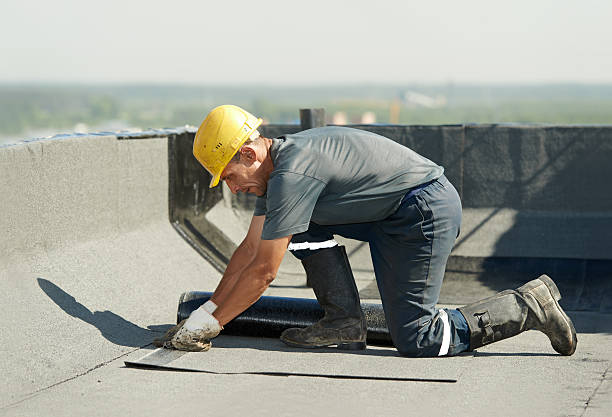 Best Attic Insulation Installation  in Archie, MO