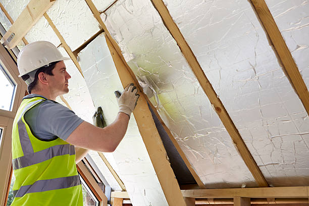 Best Insulation Removal  in Archie, MO