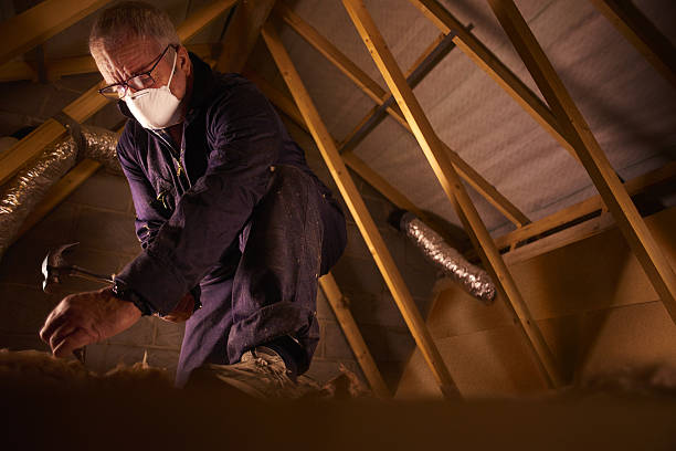 Best Cellulose Insulation  in Archie, MO